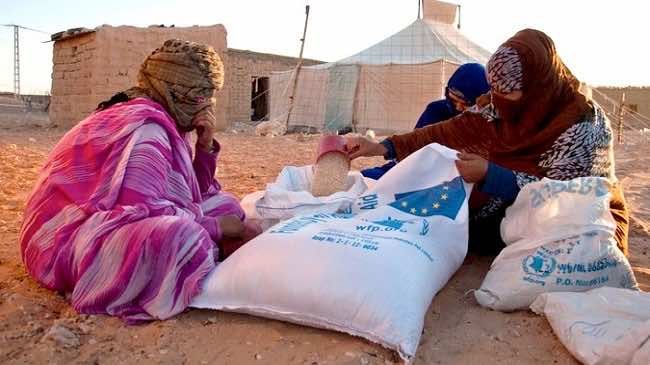 Un rapport de l’ONU alerte sur une “détérioration grave” de la situation nutritionnelle dans les camps de Tindouf, au sud de l’Algérie