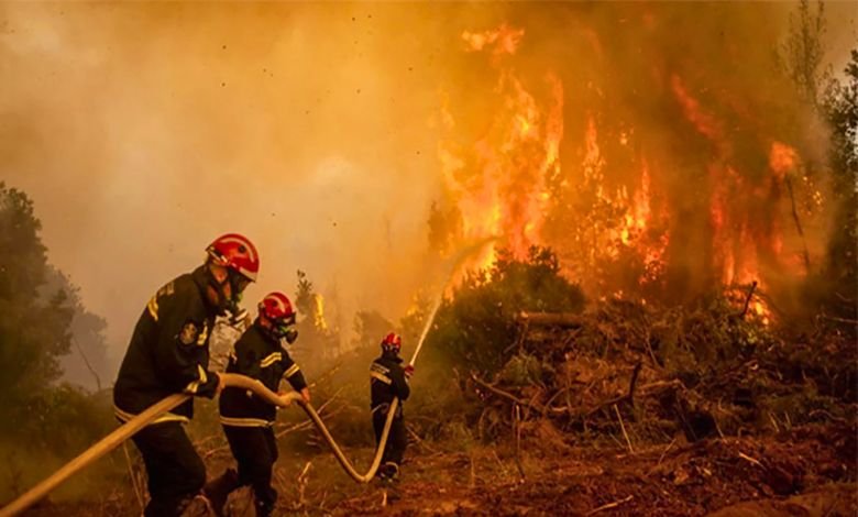 هل حرائق الشتاء في الجزائر مفتعلة لأسباب سياسية؟