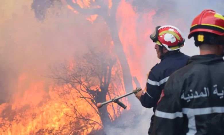 الجزائر تسجل أكثر من 17 حريق غابات في 8 ولايات