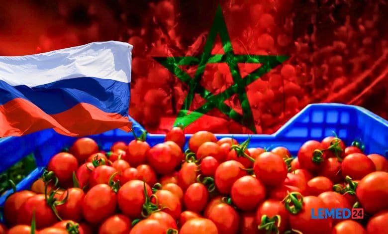 روسيا تمنع دخول شحنة جديدة من الطماطم المغربية وسط تصاعد غير مسبوق في الرقابة على الواردات الزراعية