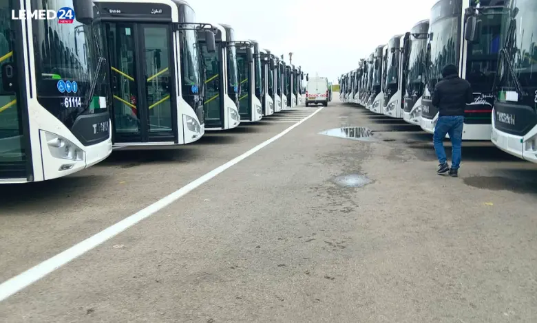 تيرصام: استيراد ضخم للحافلات يثير تساؤلات