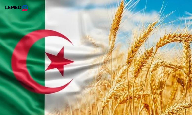 الجزائر: جمهورية الكاونتر